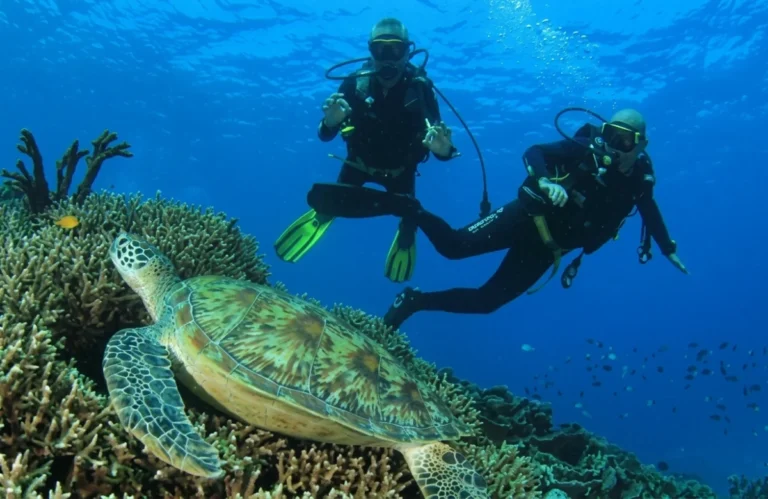 Full Day Diving Adventure