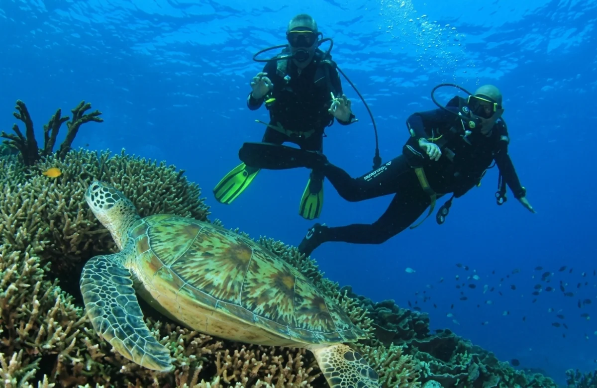 Full Day Diving Adventure