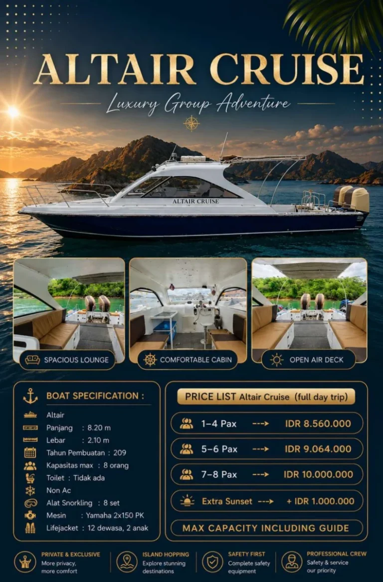 ALTAIR CRUISE