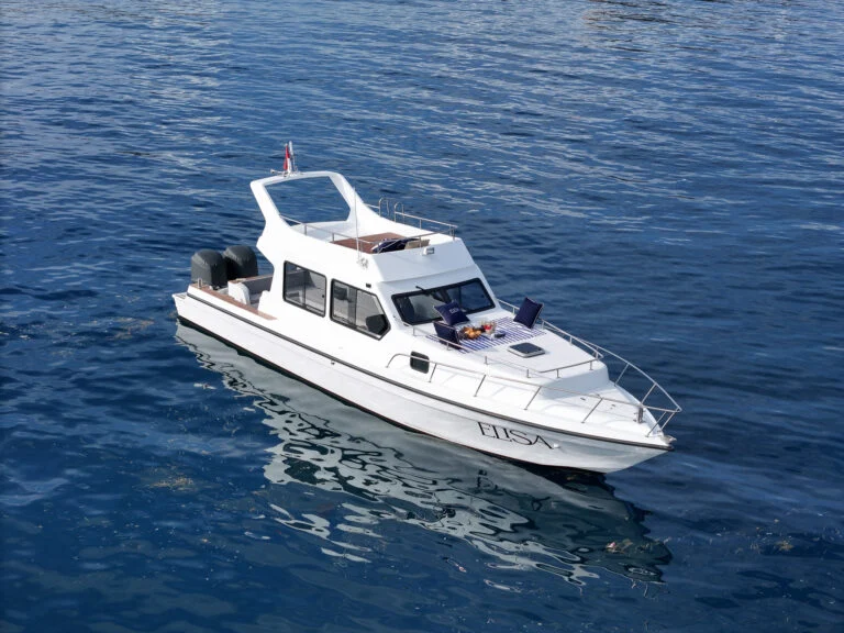 Elisa