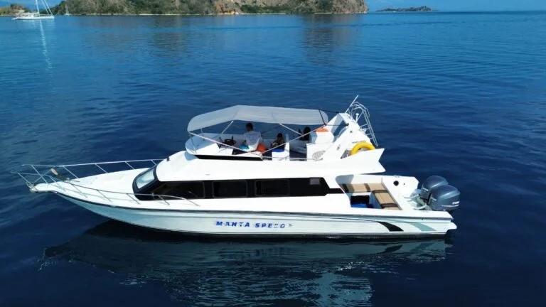 Manta