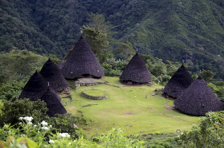 Wae Rebo Tour: How to Reach the Traditional Village in the Clouds
