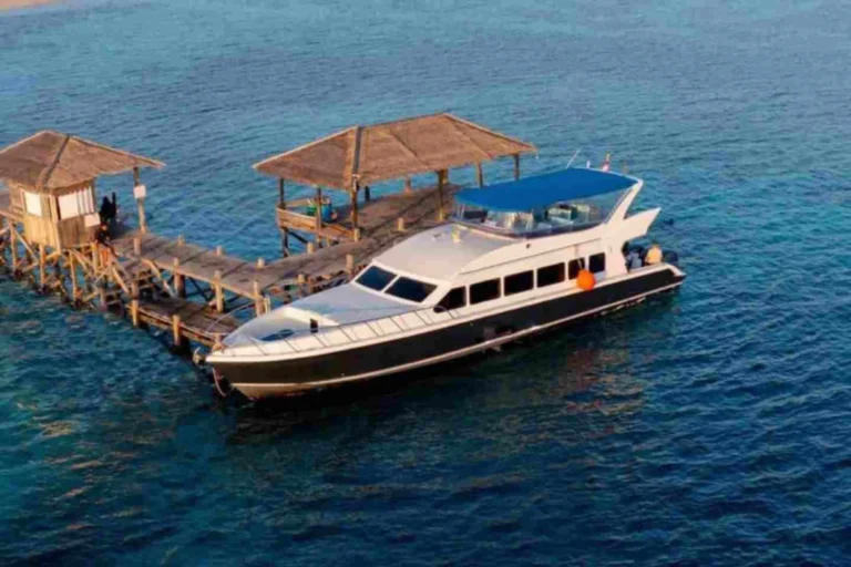 Komodo Tour from Labuan Bajo – Best Komodo Island & Fast Boat Tour Packages