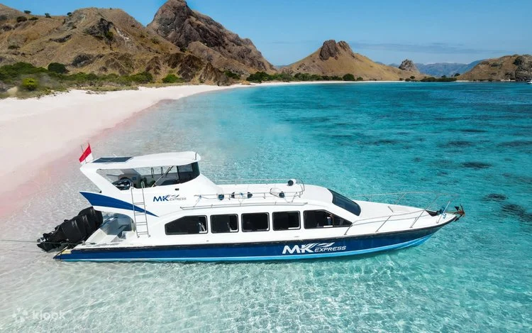 Komodo 1 Day Trip by Fast Boat