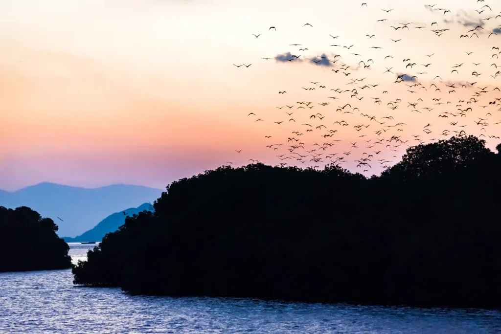 Sail to Komodo Komodo Tour Gallery