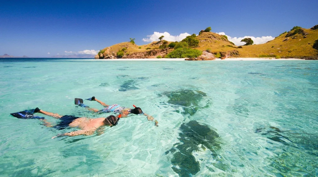 Private Snorkeling Komodo  Full-Day Speedboat Trip Gallery