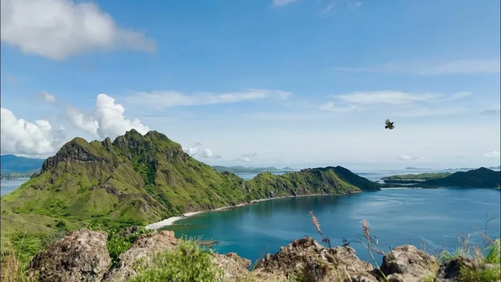 Sail to Komodo Komodo Tour Gallery