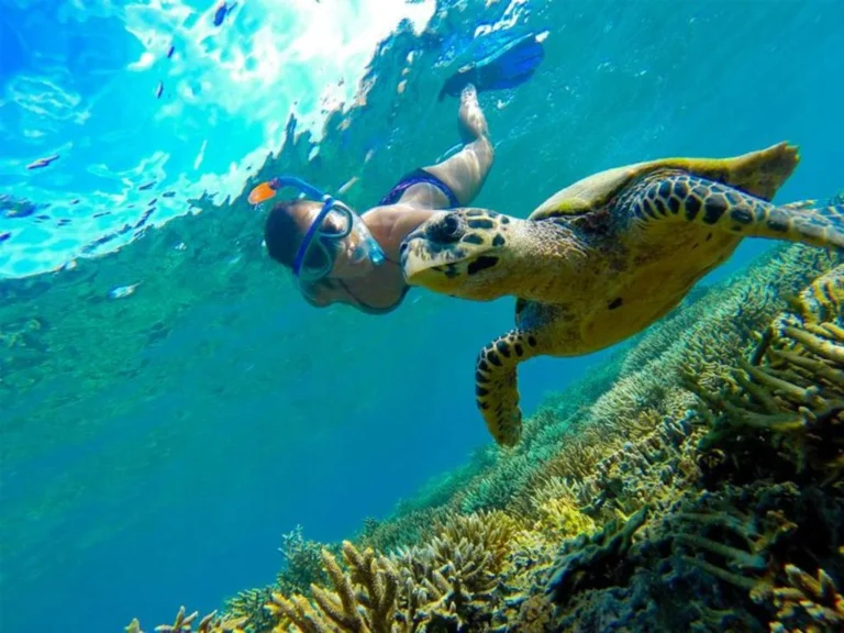 Family Trip to Komodo with a Luxury Fast Boat 1 Day