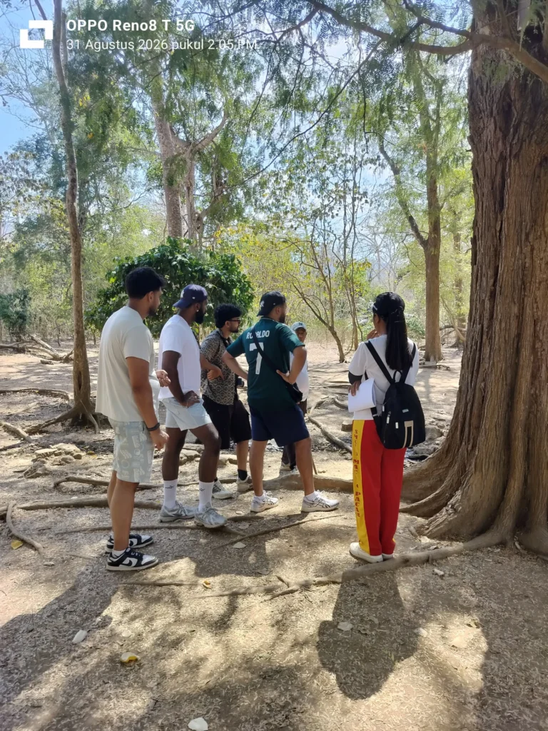 Sail to Komodo Komodo Tour Gallery