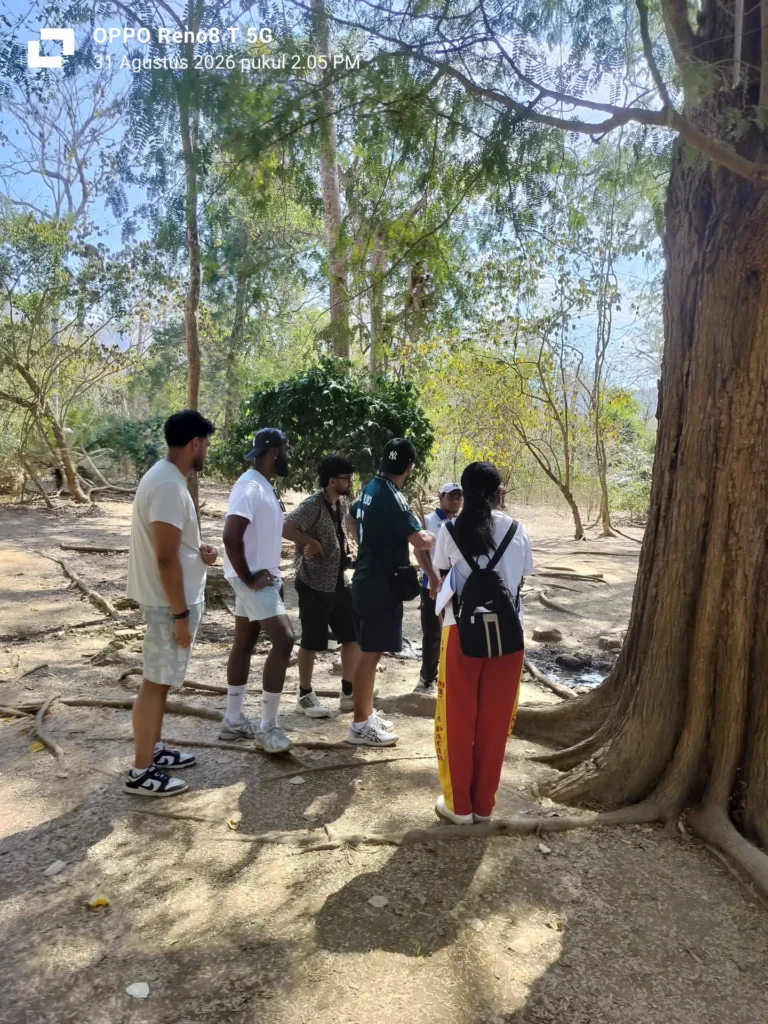 Sail to Komodo Komodo Tour Gallery