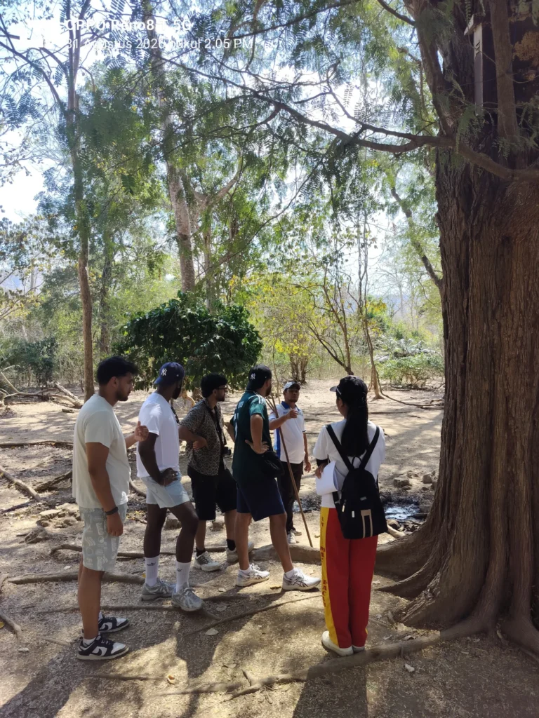 Sail to Komodo Komodo Tour Gallery