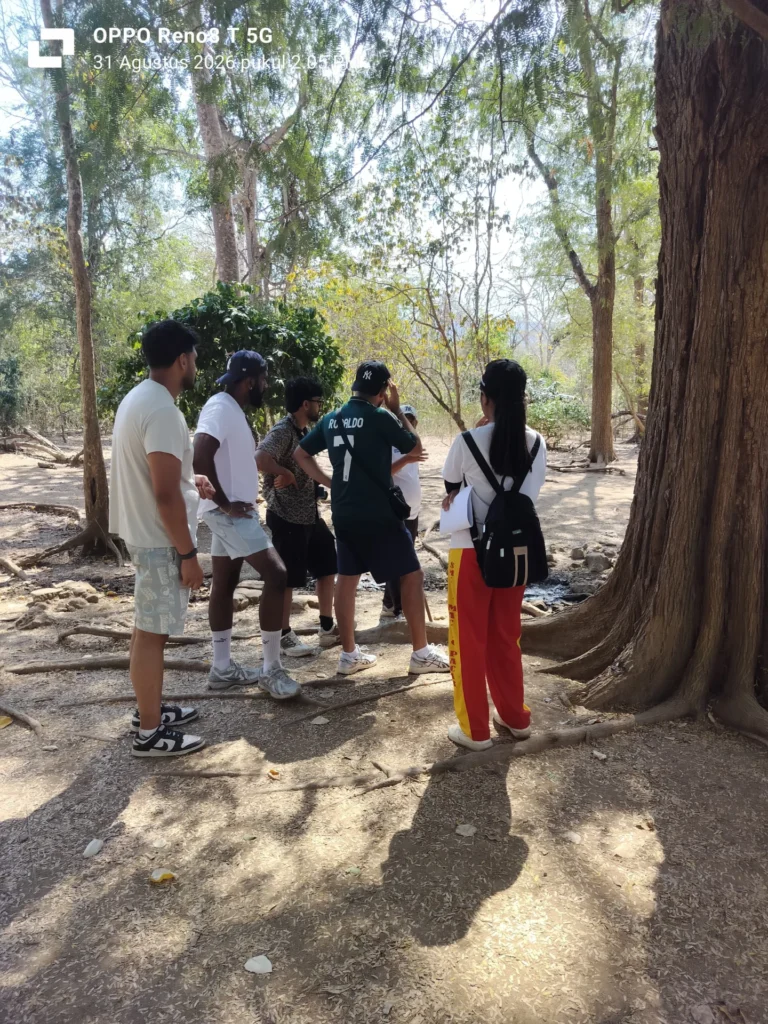 Sail to Komodo Komodo Tour Gallery