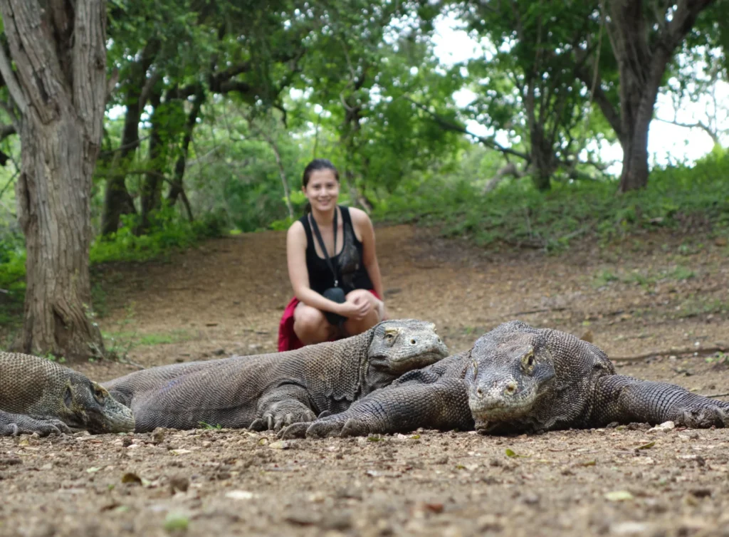 Sail to Komodo Komodo Tour Gallery