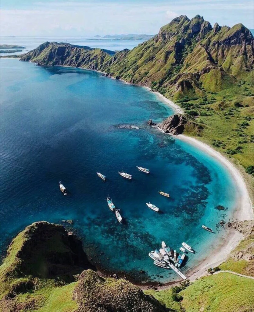 Sail to Komodo Komodo Tour Gallery