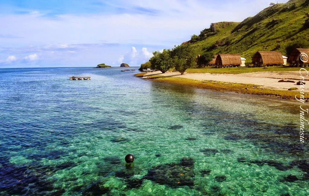 Private Snorkeling Komodo  Full-Day Speedboat Trip Gallery