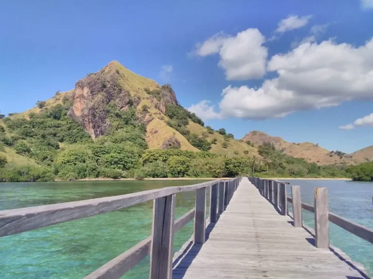 Best Komodo Boat Trip in Flores Overland Tour