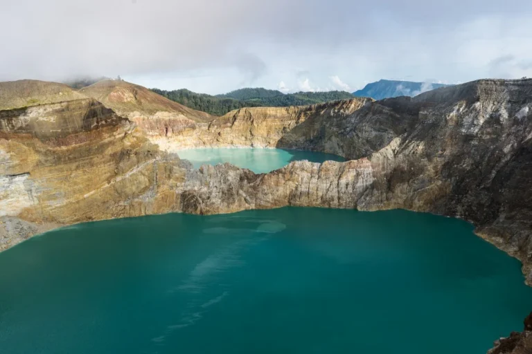 Best Komodo Boat Trip in Flores Overland Tour