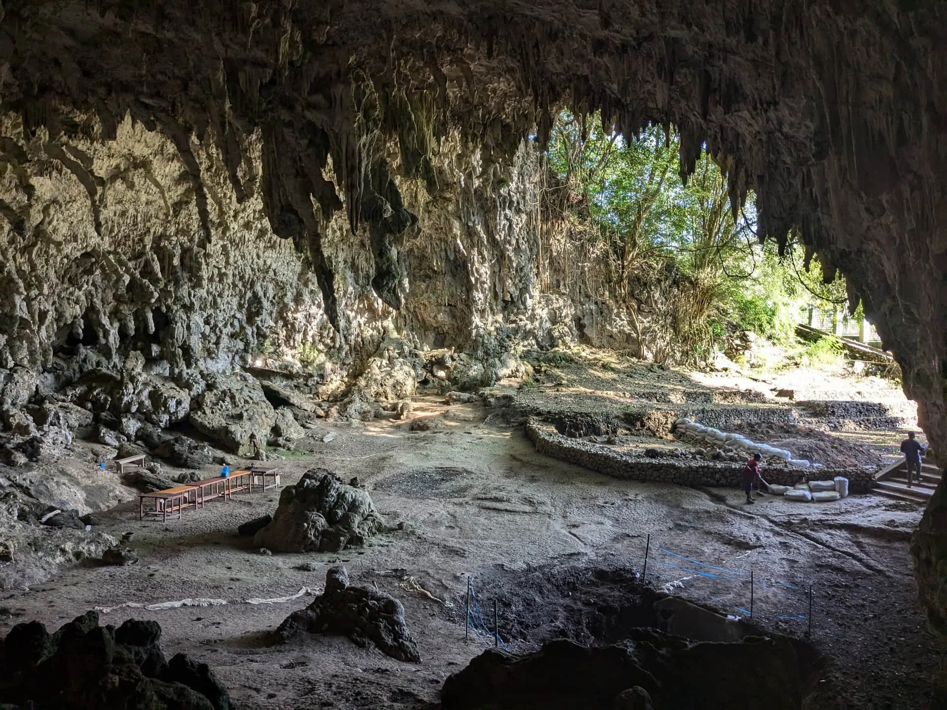 Komodo Island Day Trip & 2-Day Flores Village and Hobbit Cave Adventure
