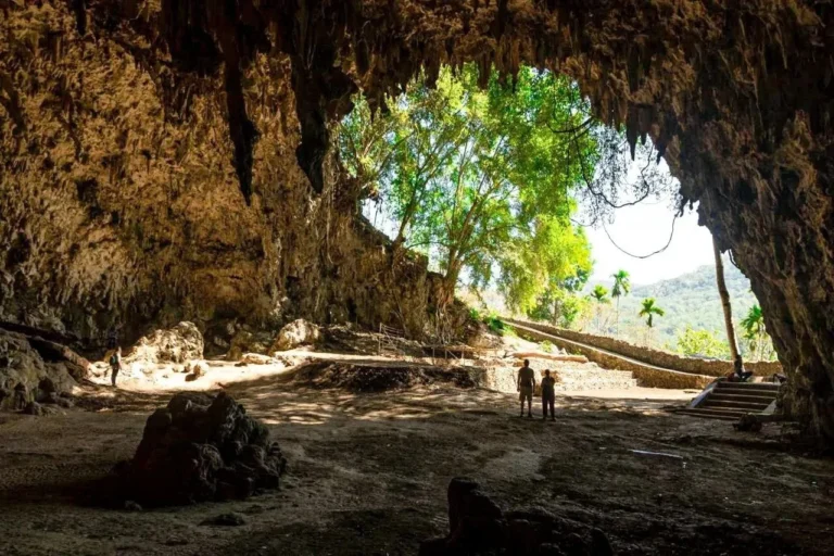 Full Day Komodo Tour & Hobbit Cave Adventure